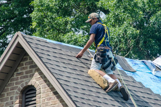 Roof Gutter Cleaning in Gower, MO